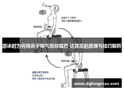 游泳时为何用鼻子吸气而非嘴巴 这背后的原理与技巧解析